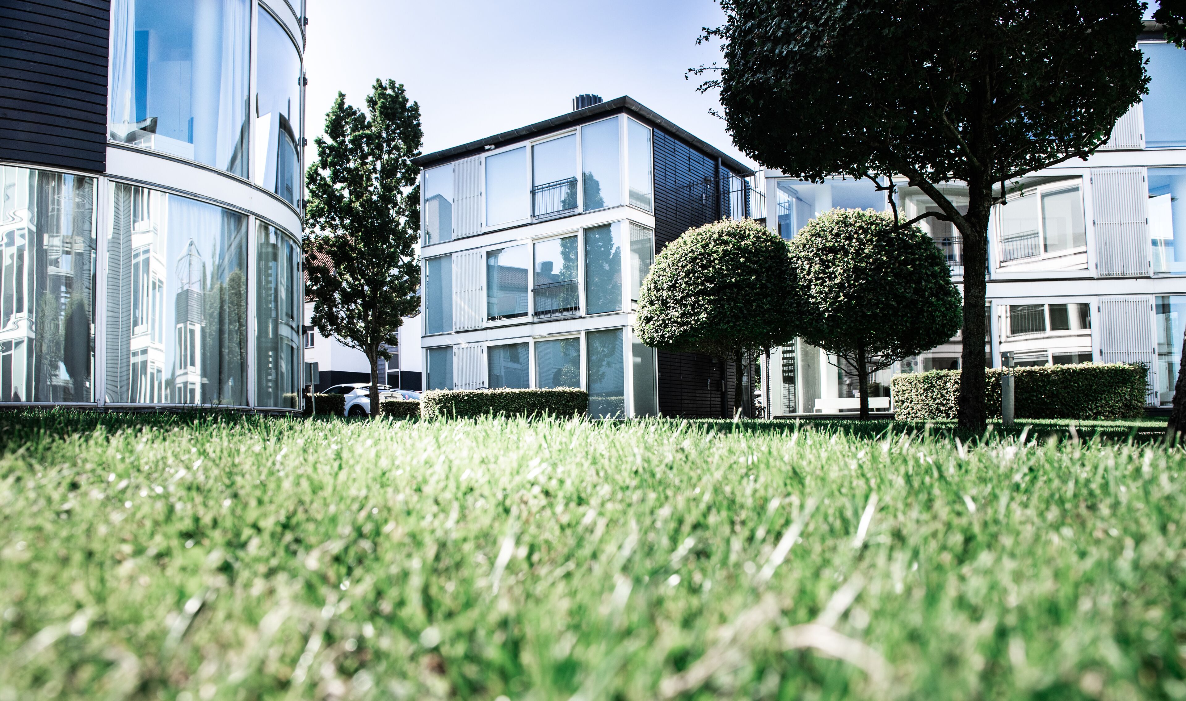 A modern building with large glass windows, a well-maintained lawn, and two neatly trimmed trees.