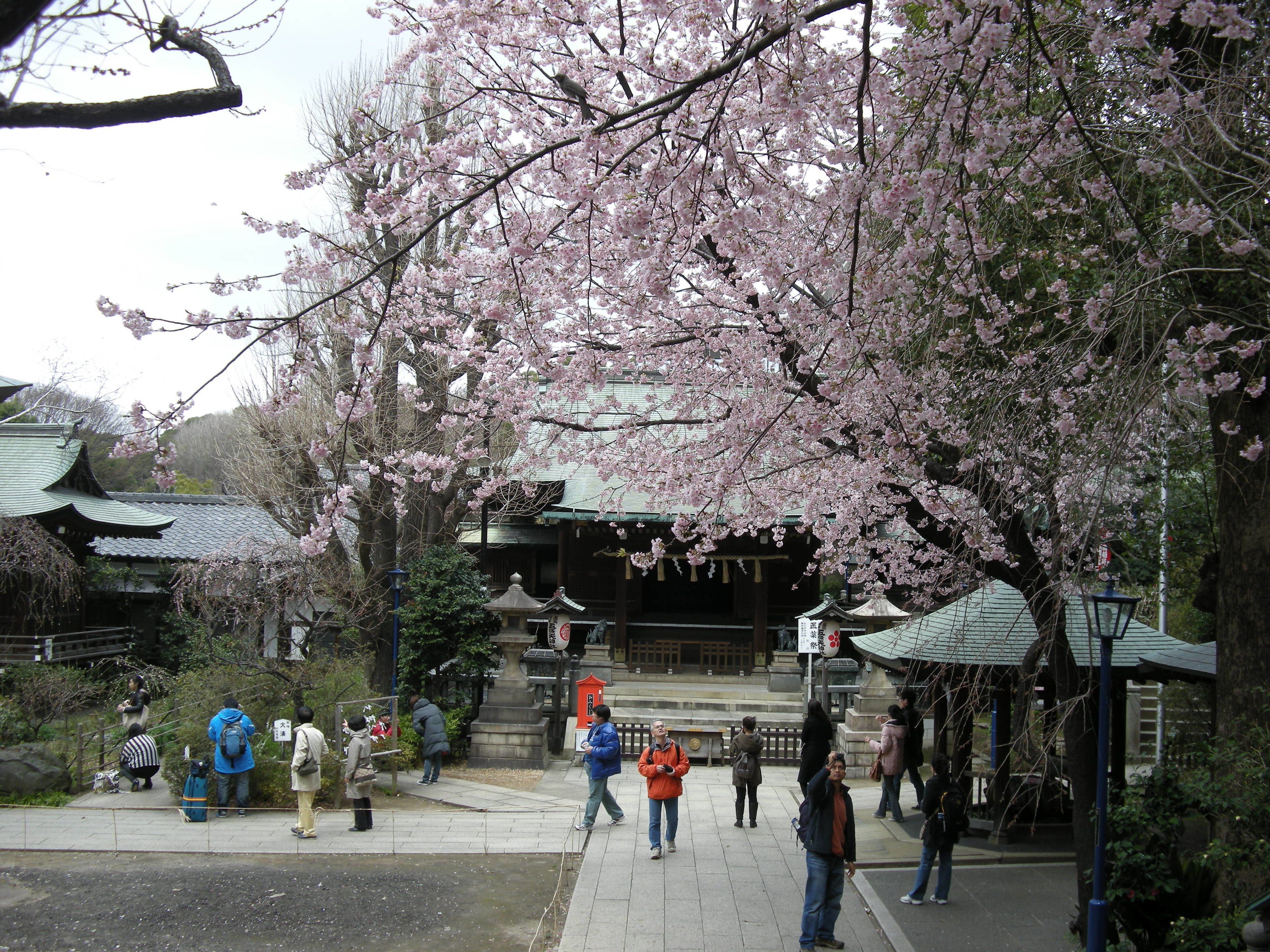 Photo - Ueno Terminal Hotel