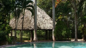 Un área de piscina con una estructura de techo de paja rodeada de palmeras.