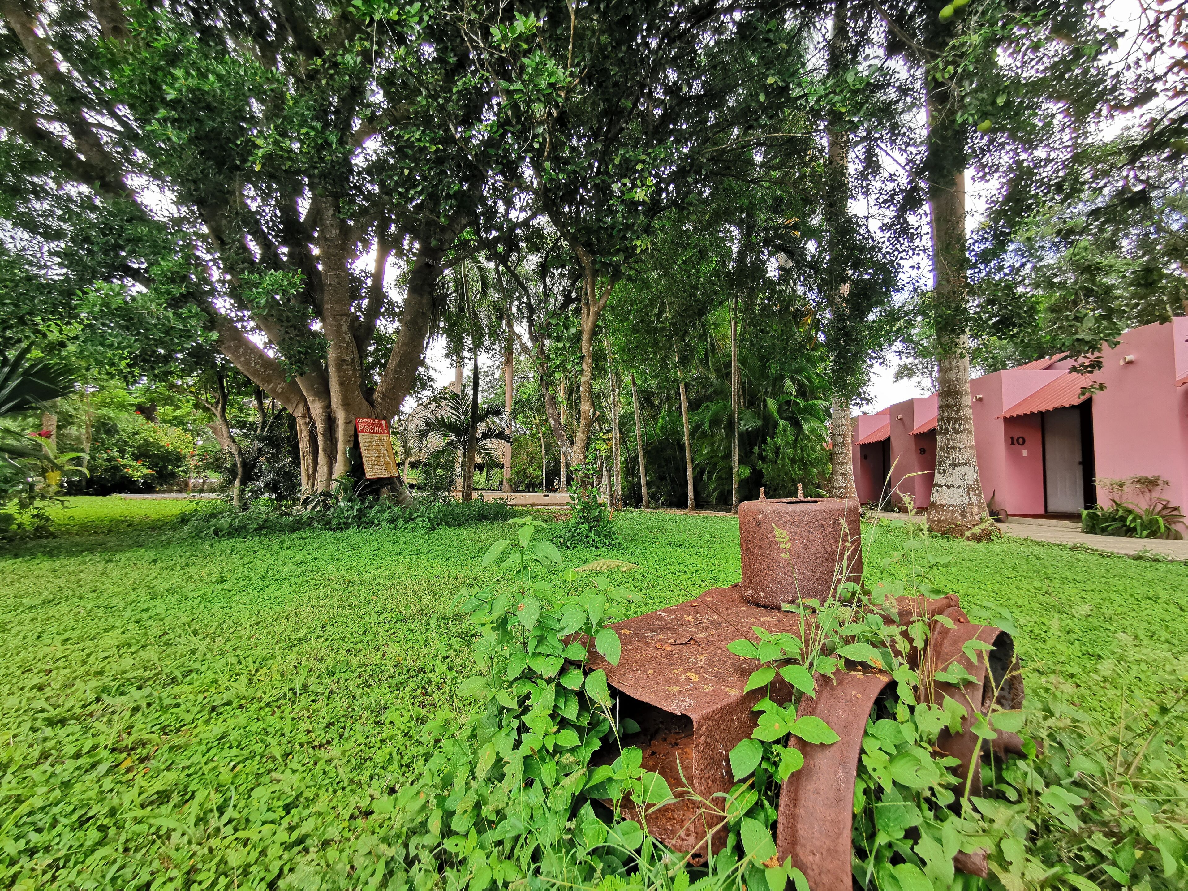 Um jardim exuberante com um banco de metal, árvores e um edifício com portas numeradas.