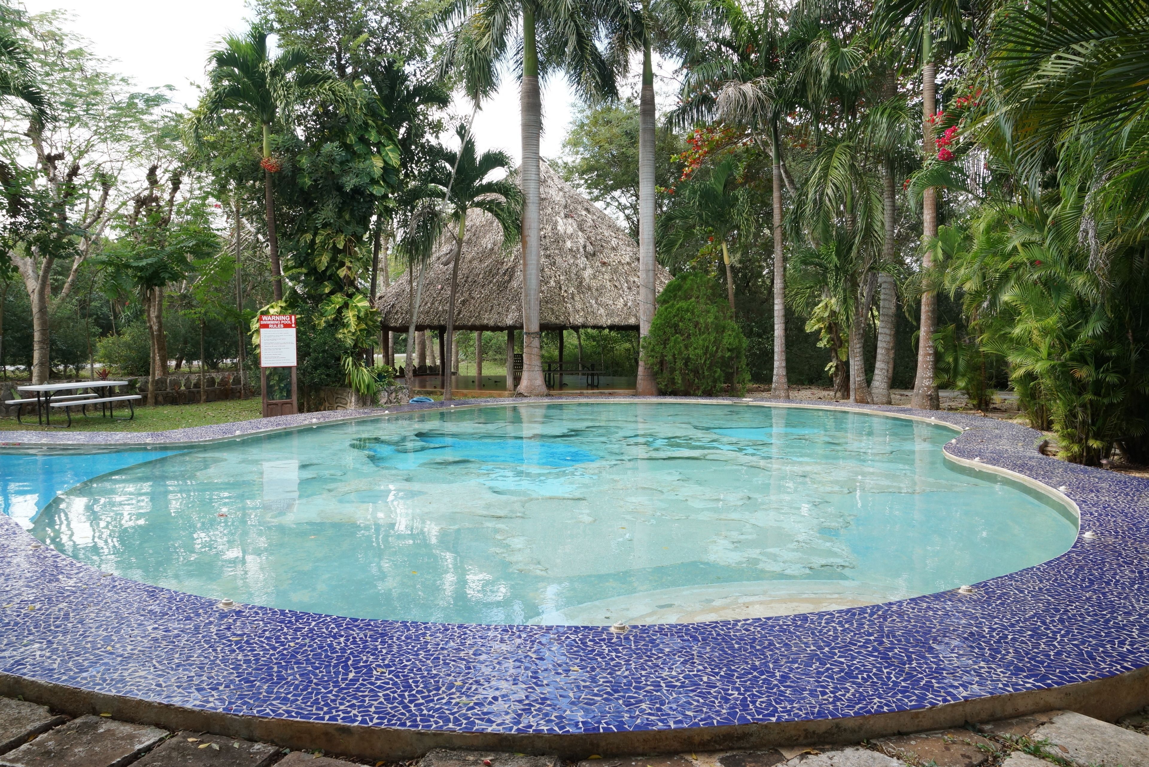Une piscine dont le bord est revêtu de carreaux, entourée de palmiers et bordée d’une structure à toit de chaume.