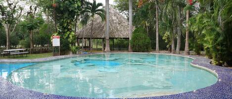 A swimming pool with a tiled edge, surrounded by palm trees and a thatched-roof structure.