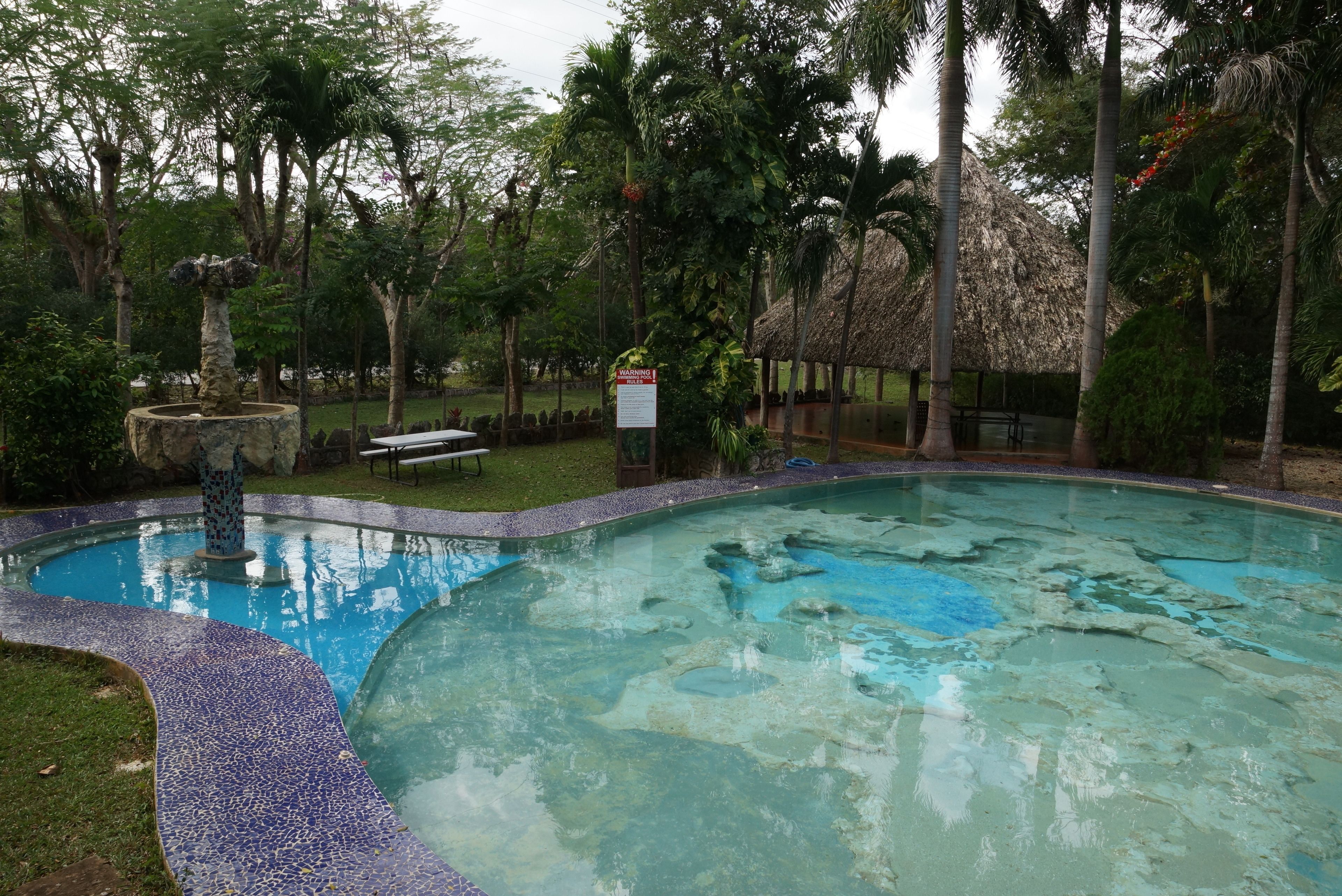 A swimming pool with a stone fountain, surrounded by palm trees and a thatched-roof structure.
