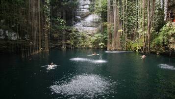 A natural water body surrounded by dense forest with people swimming and a person sitting on a rock.