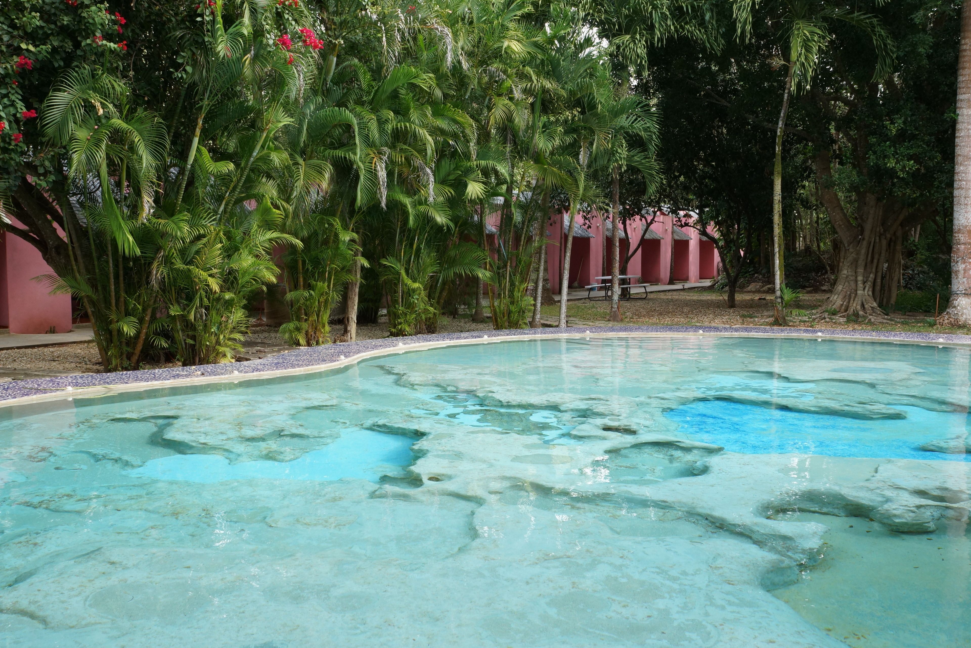 A clear pool surrounded by palm trees and a red building in the background.