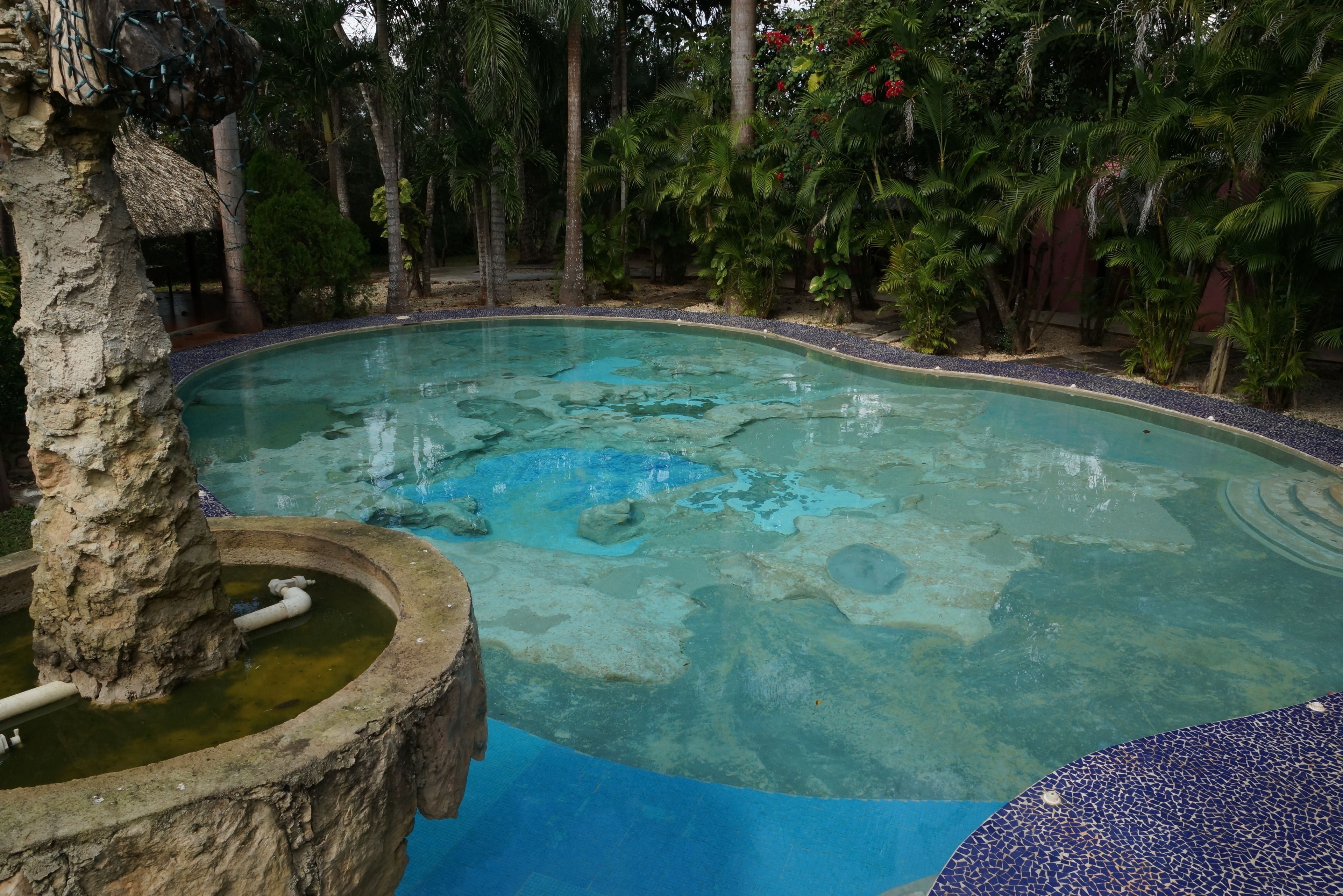 A swimming pool with a natural rock design, surrounded by lush greenery and palm trees.