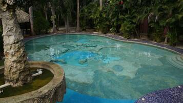 A swimming pool with a natural rock design, surrounded by lush greenery and palm trees.