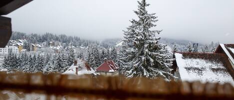 A snowy landscape with buildings and a prominent evergreen tree.