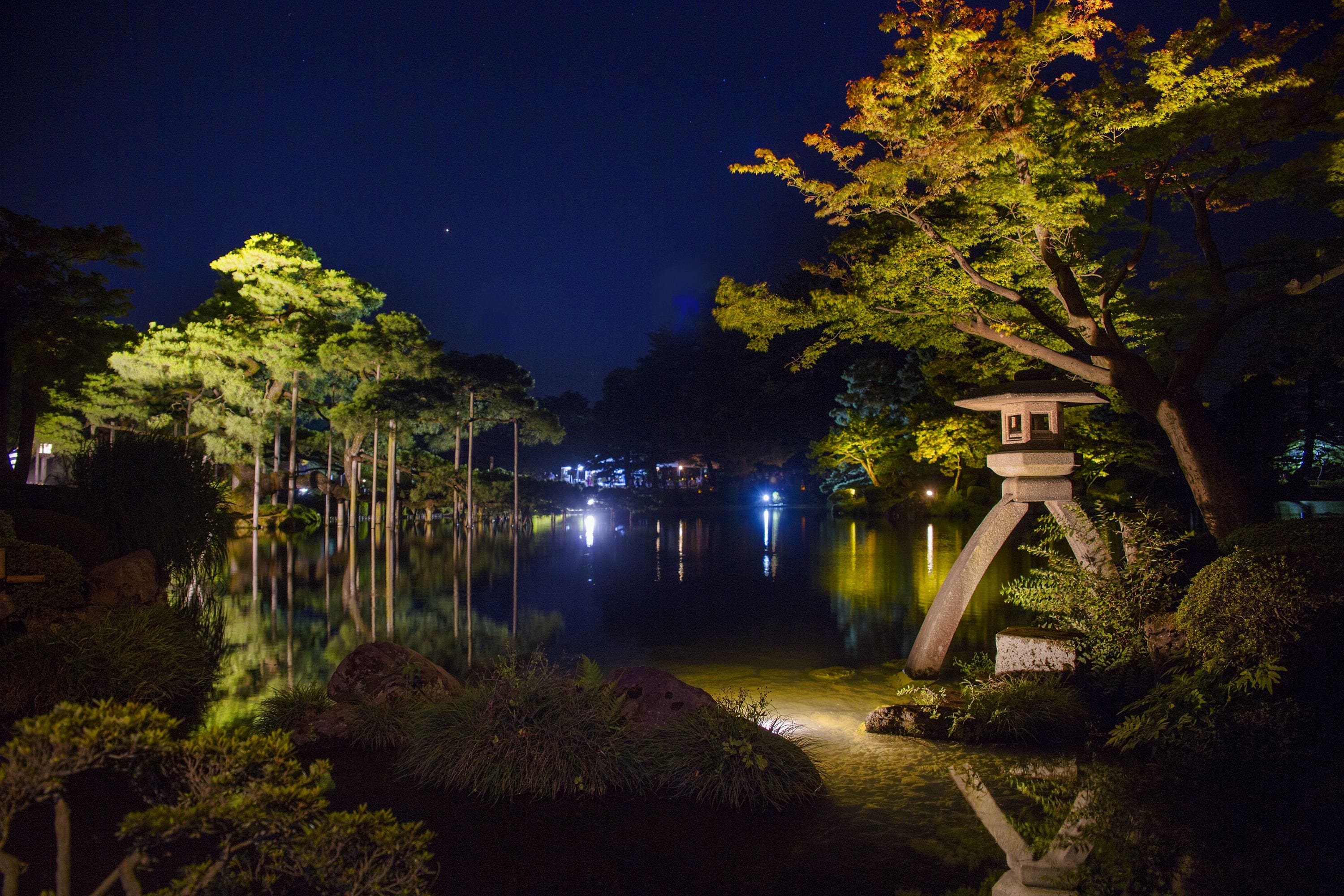 A serene nighttime garden with a pond, illuminated trees, and a traditional stone lantern.