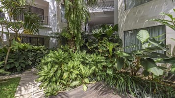 Jardin