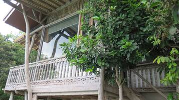 Down comforters, minibar, in-room safe, individually decorated