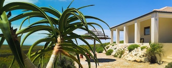 Kapensis Guesthouse