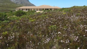 Un edificio con techo plano y una serie de columnas, rodeado por un paisaje natural con plantas en flor y una montaña al fondo.