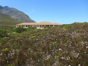 Property grounds - Kapensis Guesthouse (Pringle Bay)