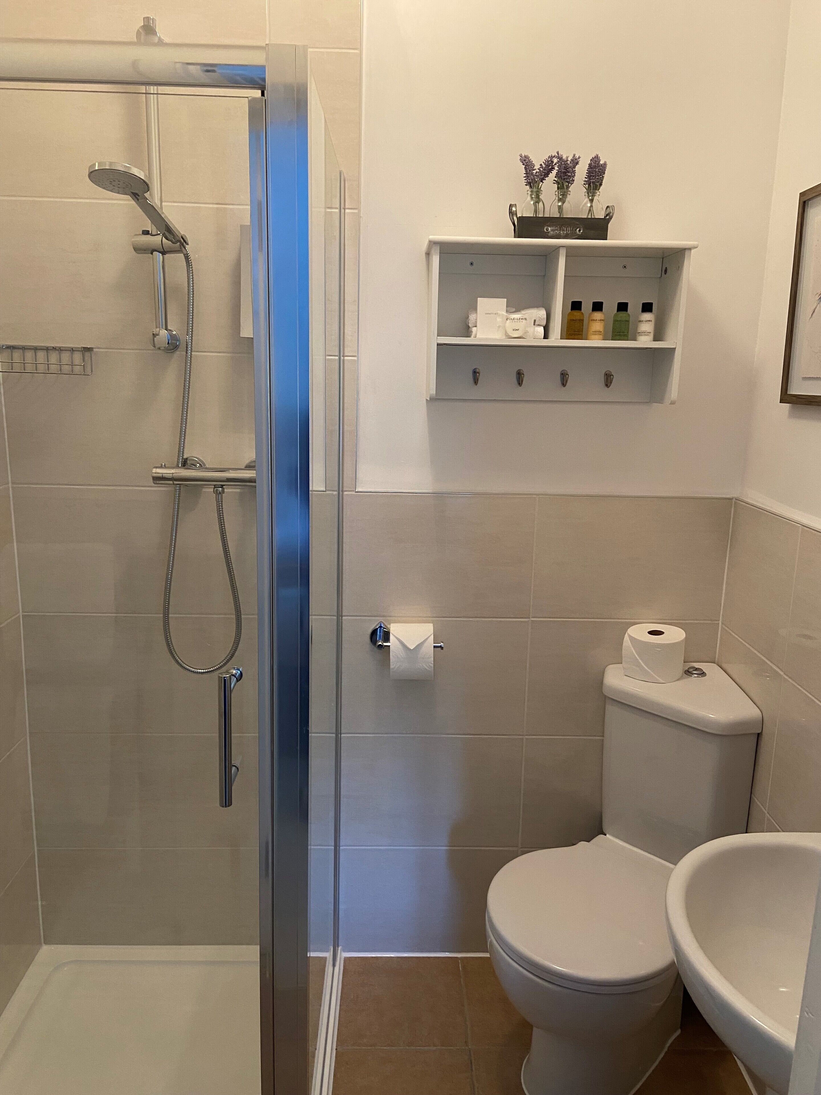 A bathroom with a glass-enclosed shower, a toilet, a bidet, and a shelf with toiletries.