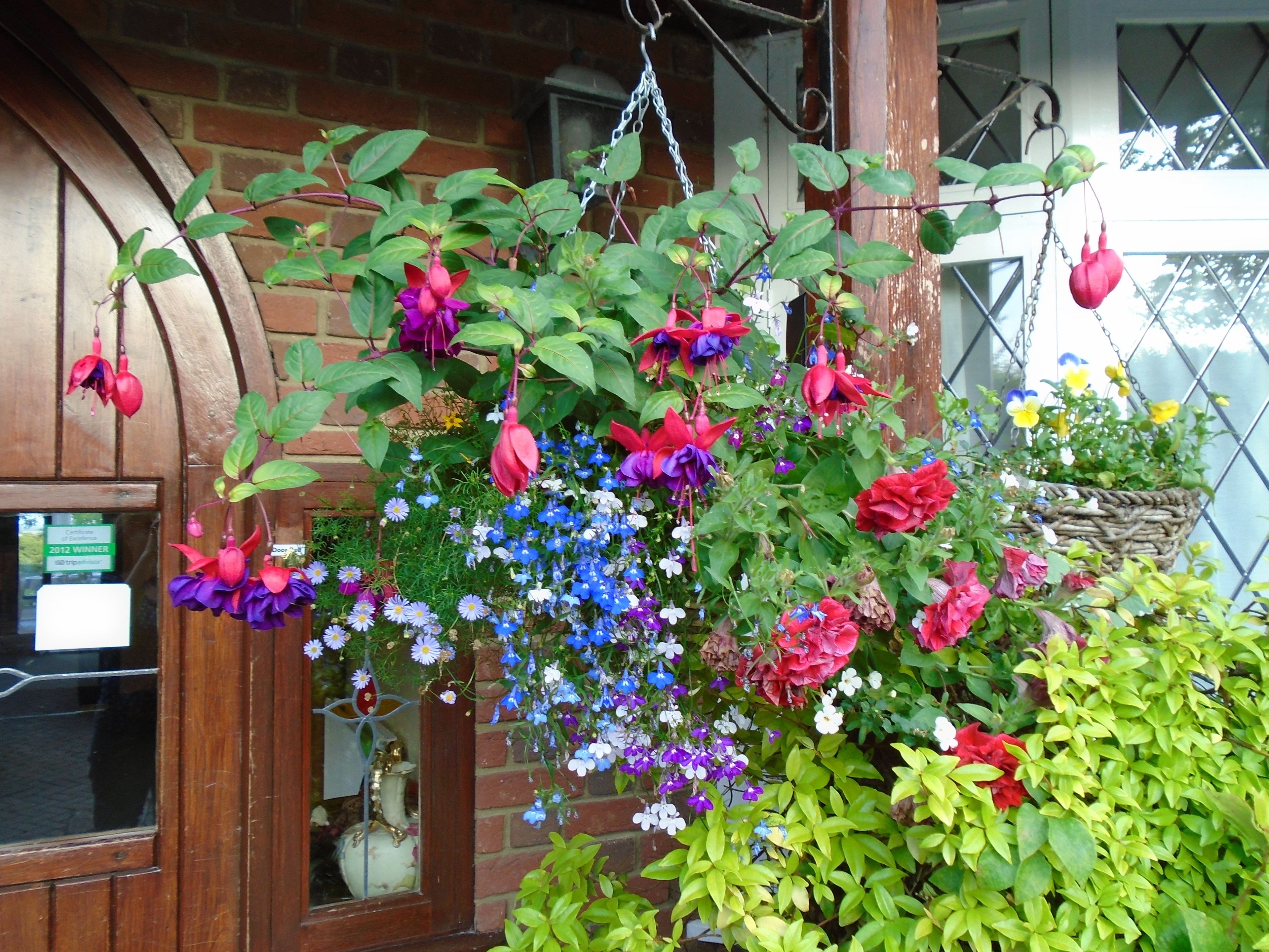 A hanging flower arrangement with various colors in front of a brick building with a wooden door and windows.