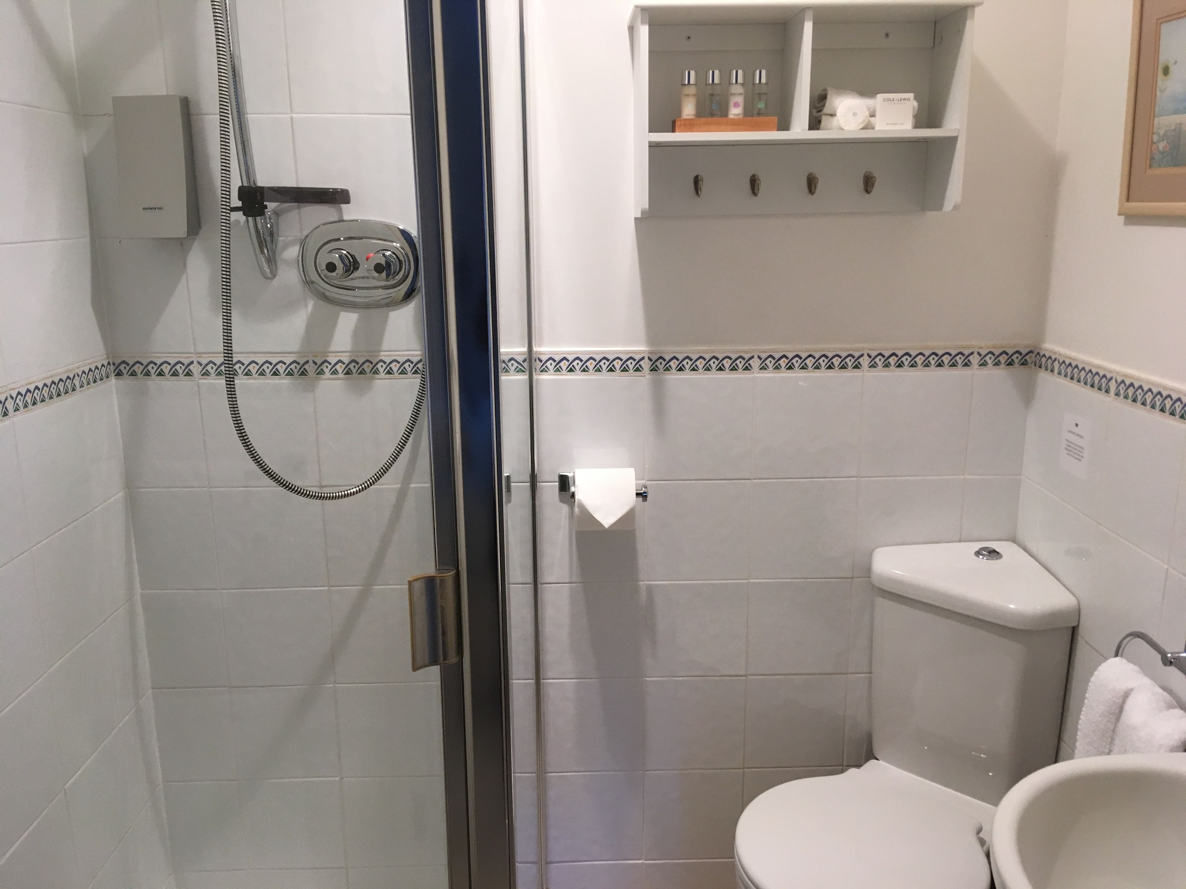 A bathroom with a glass shower enclosure, a toilet, and a shelf with toiletries.