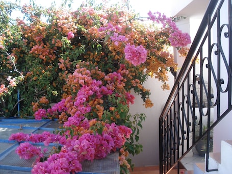 Jardín