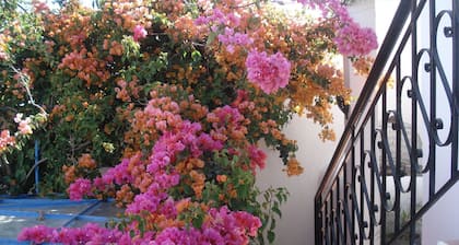 Riad Marlinea