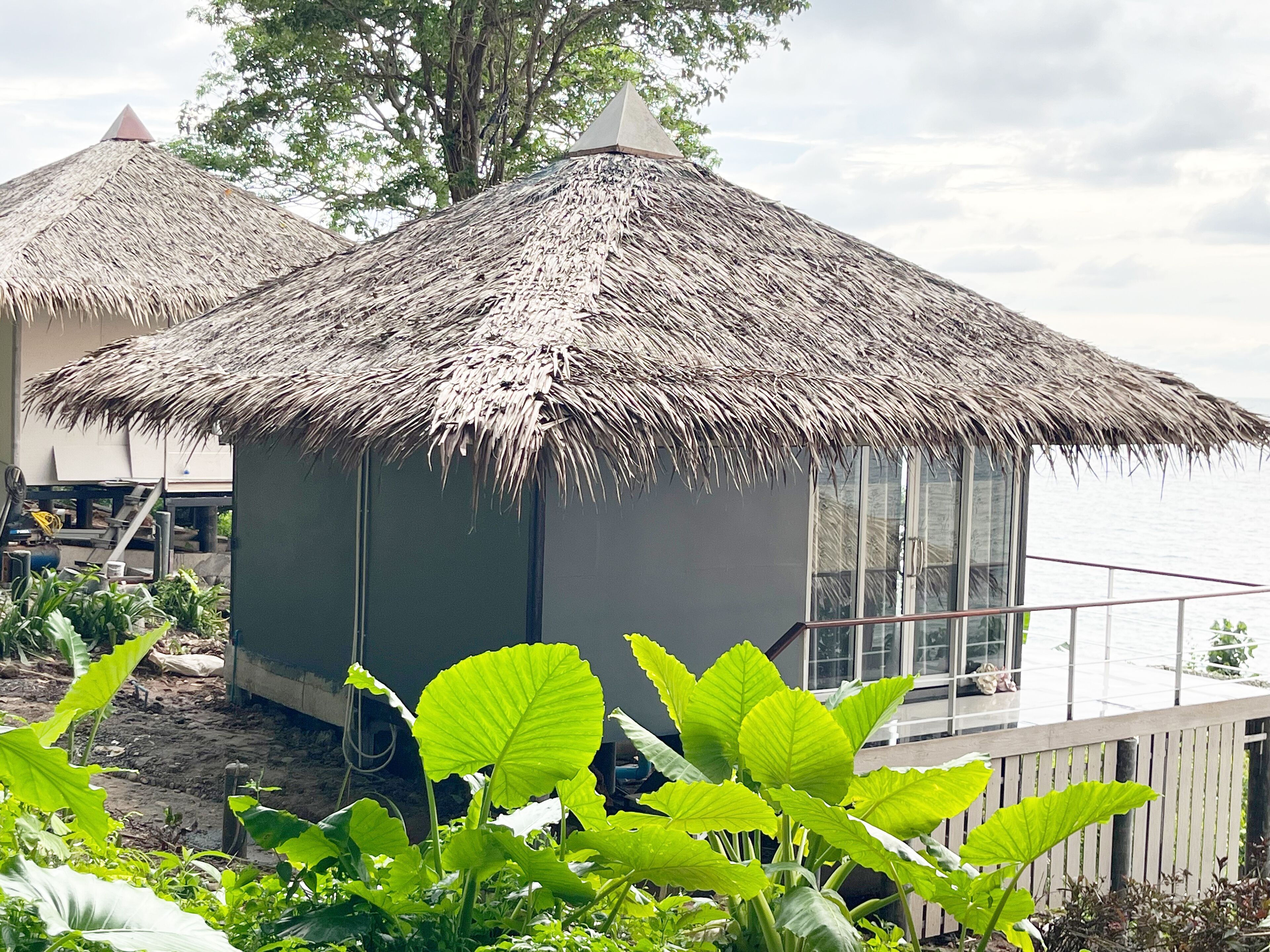 A thatched-roof structure with a window, surrounded by greenery.