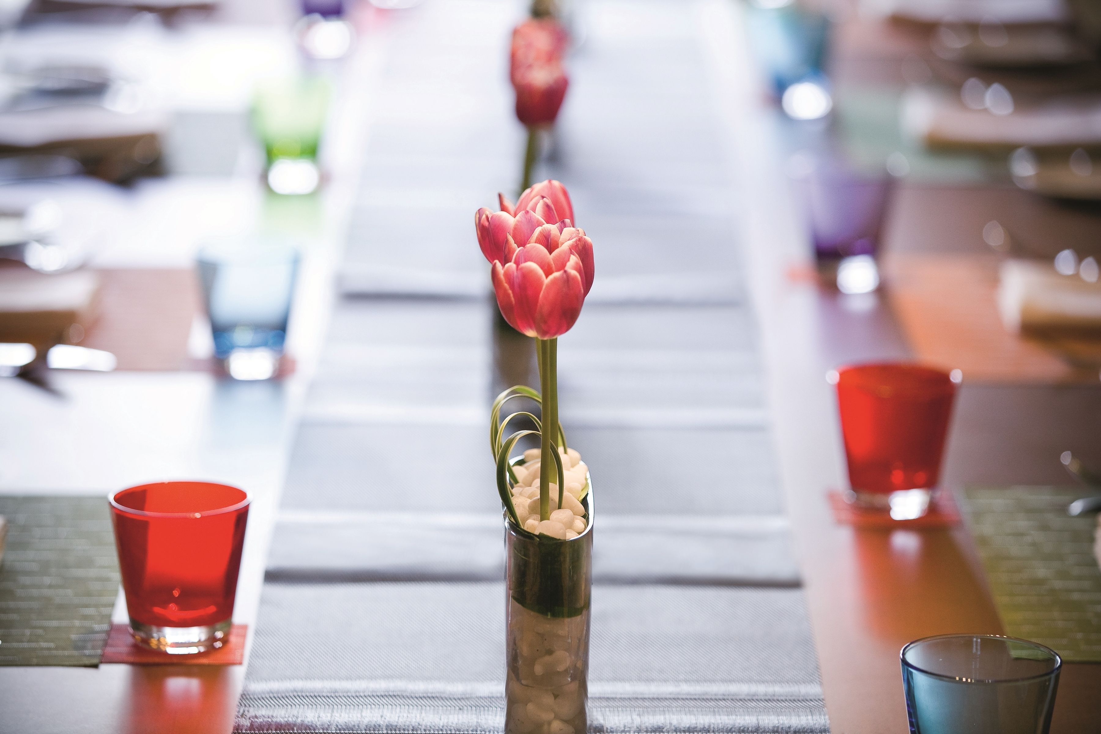 A table with a vase containing a single red tulip, surrounded by red glasses.
