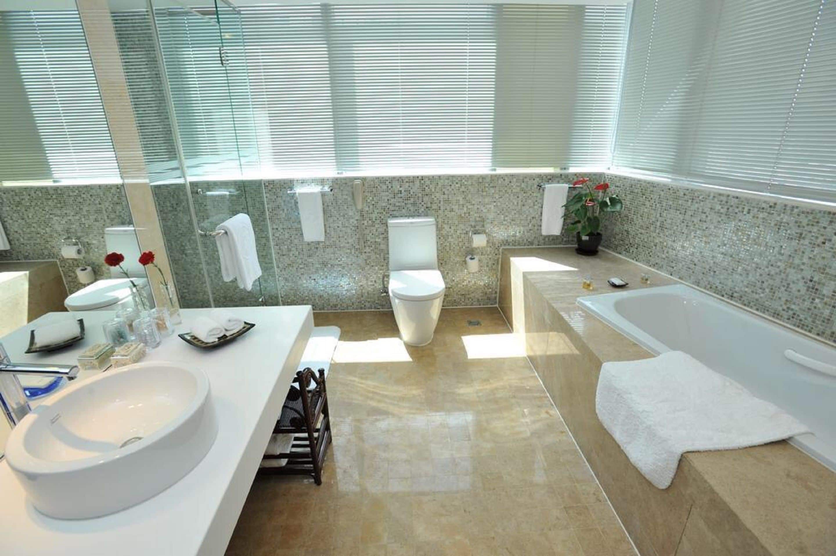 combined shower/bathtub, free toiletries, hair dryer, bathrobes