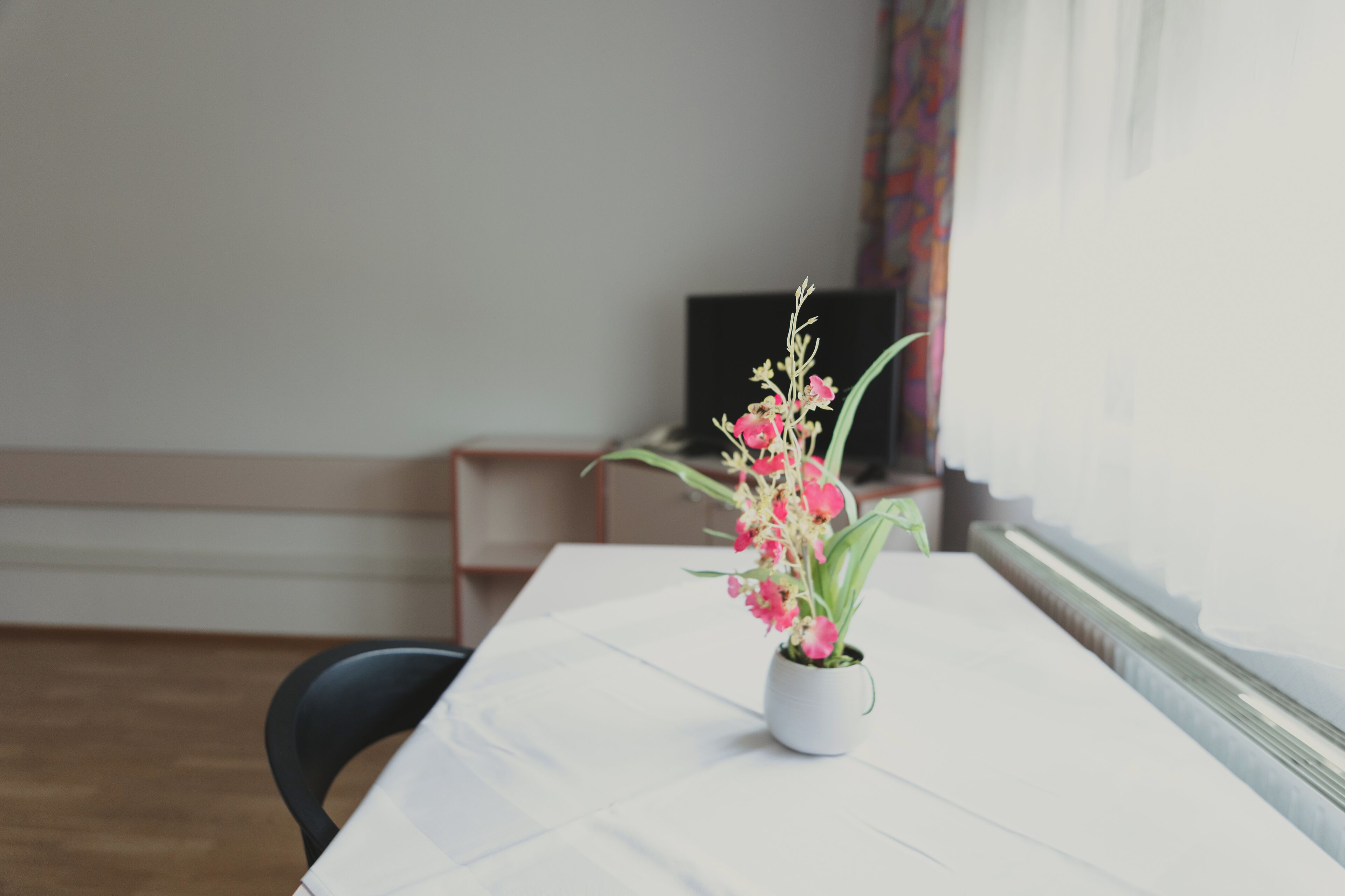 double or twin room | desk, free wifi, bed sheets