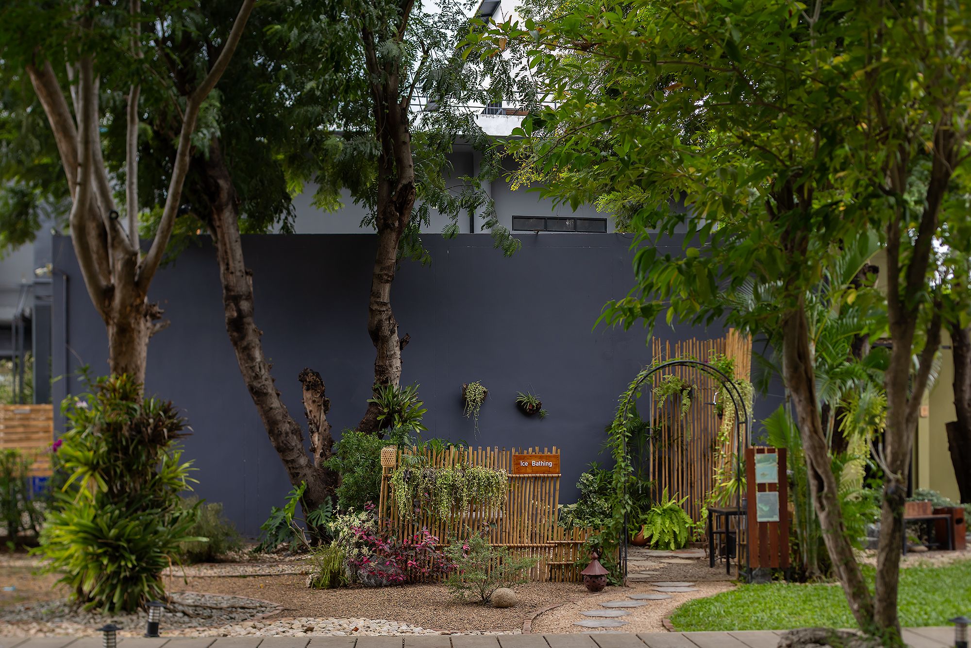 A garden with a bamboo fence, a sign reading 'Ice Bathing', and a pathway leading to a gate.
