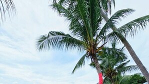 A beachside seating area with wicker chairs and a round table, palm trees, and a view of the sea. - Beach Republic, Koh Samui (Koh Samui)