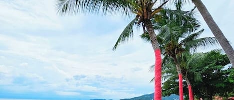 Sur la plage, sable blanc, cabana (gratuite), chaise longue