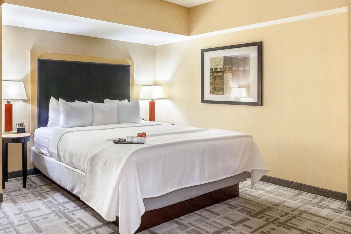 suite, 1 bedroom, non smoking | 1 bedroom, egyptian cotton sheets, premium bedding, pillow-top beds