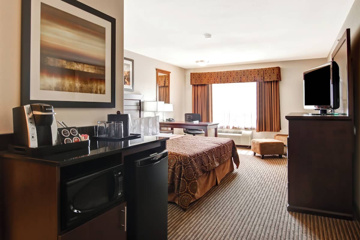 A hotel room with a bed, a desk, a television, a microwave, and a coffee maker.