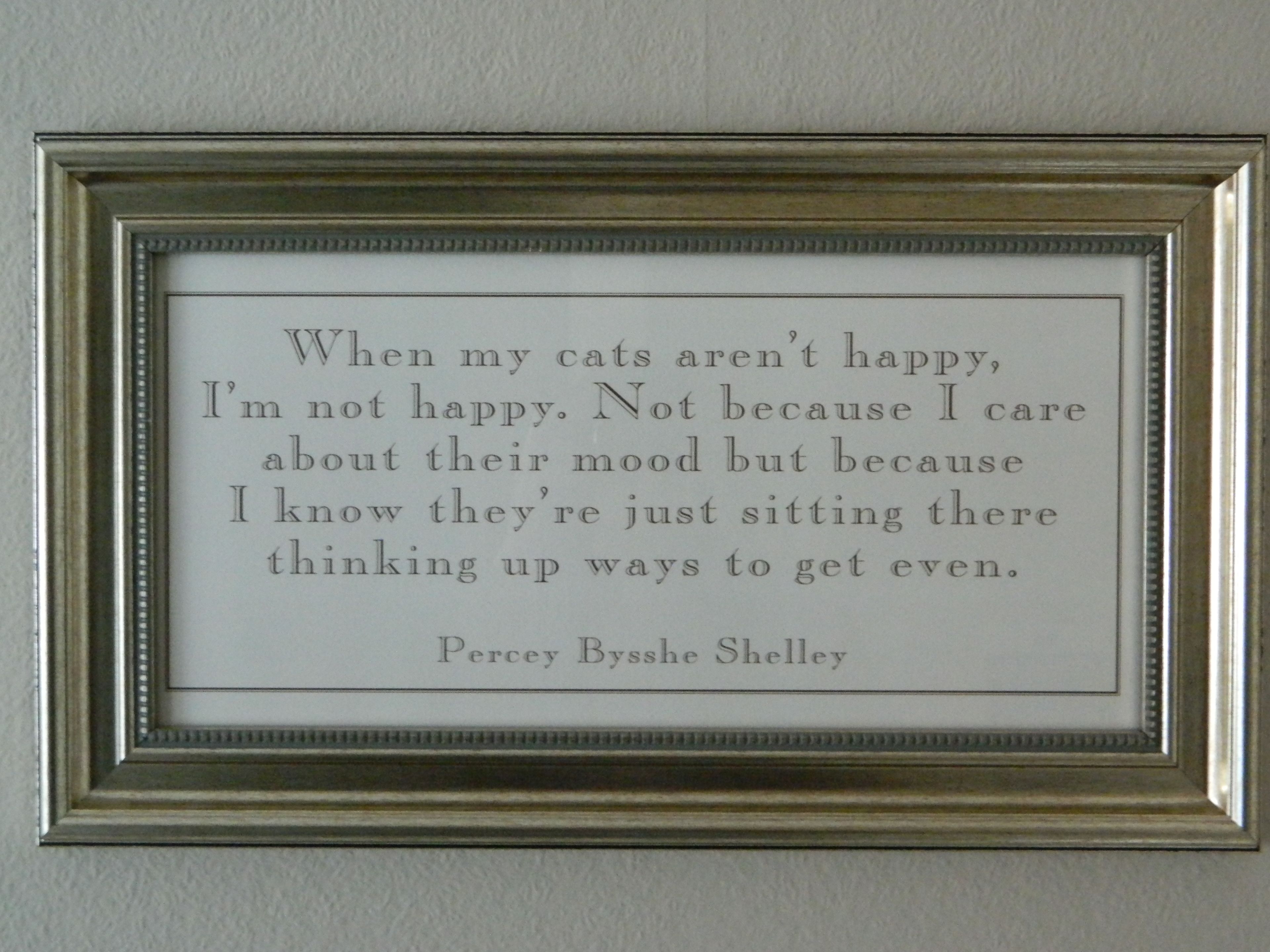 Una cita enmarco sobre gatos y felicidad.