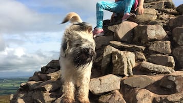 Una persona sentada en una colina rocosa con un perro.