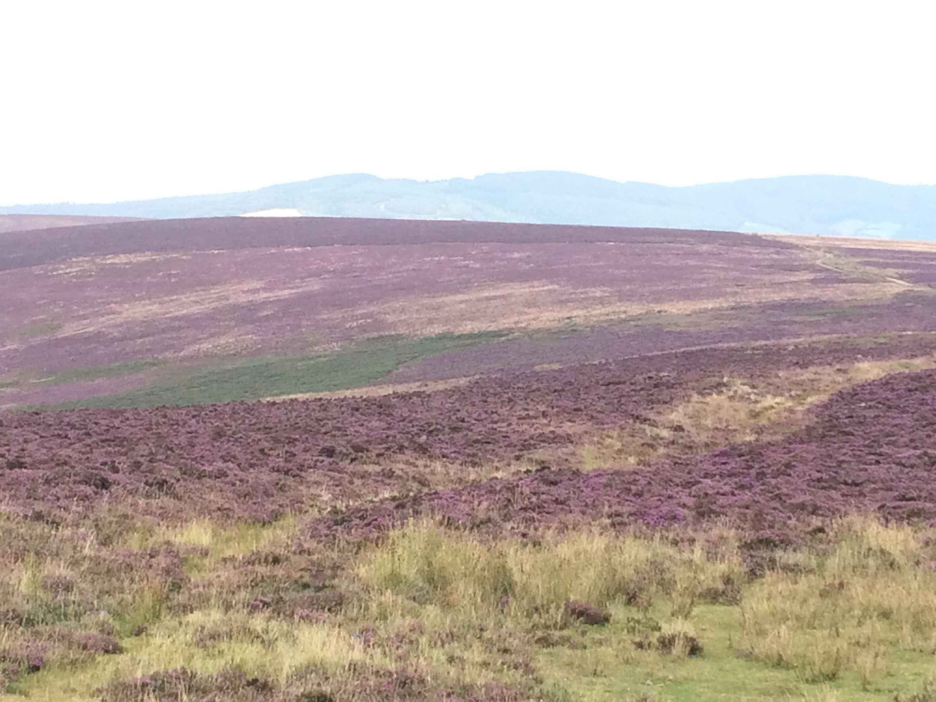 A vast landscape with rolling hills and a distant mountain range.