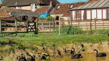 Esterni