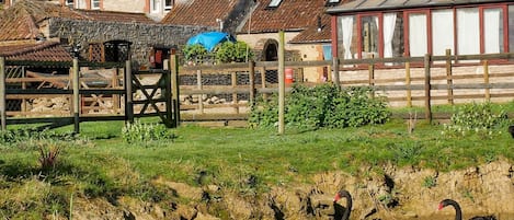 Extérieur