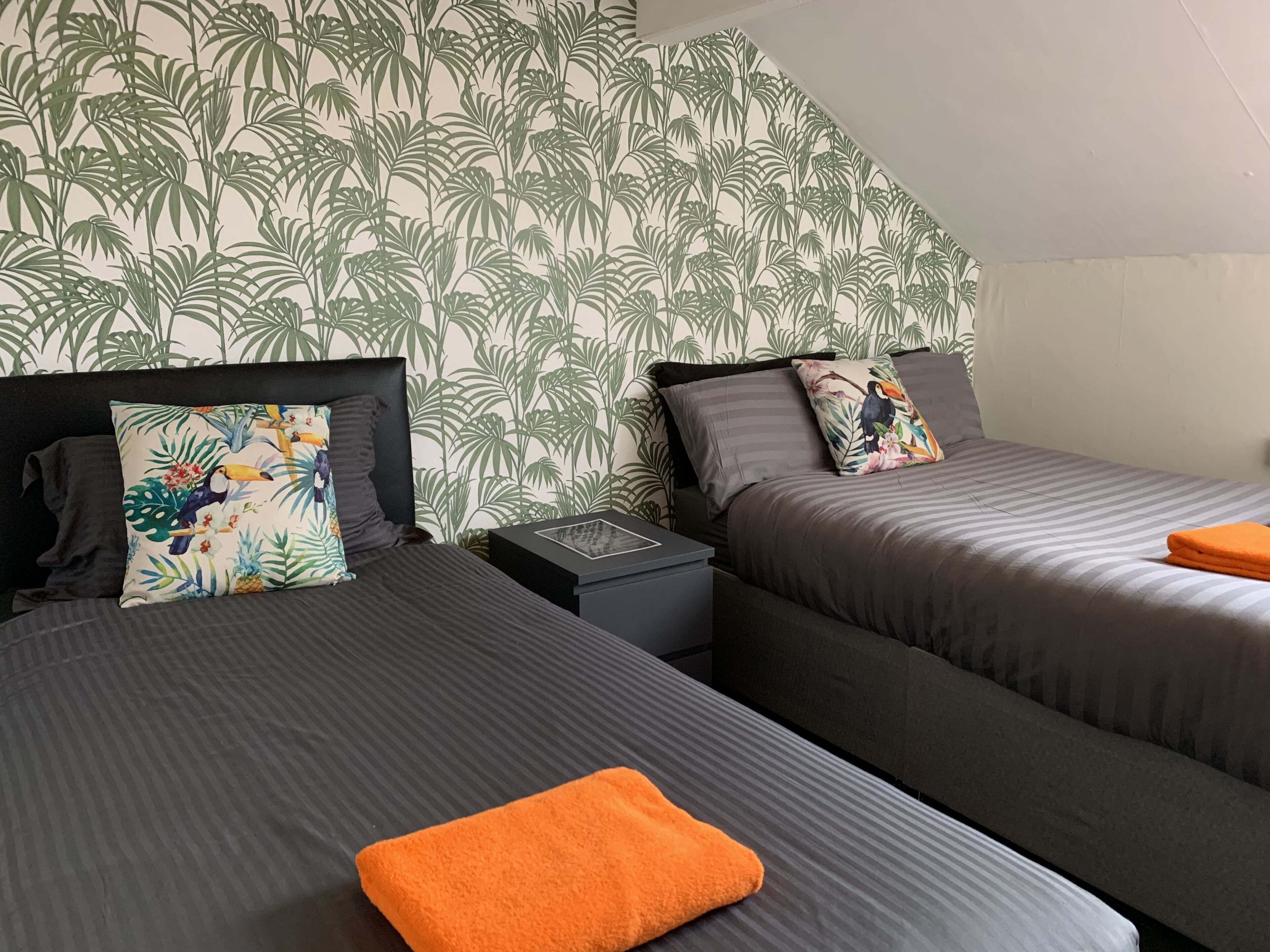 Foto - Tropics Beach Hotel