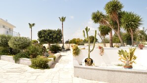 Property grounds - Fedrania Gardens (Ayia Napa)