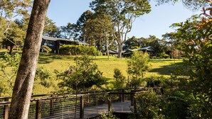 A park with a wooden bridge, grassy areas, and trees. - Spicers Tamarind Retreat (Maleny)
