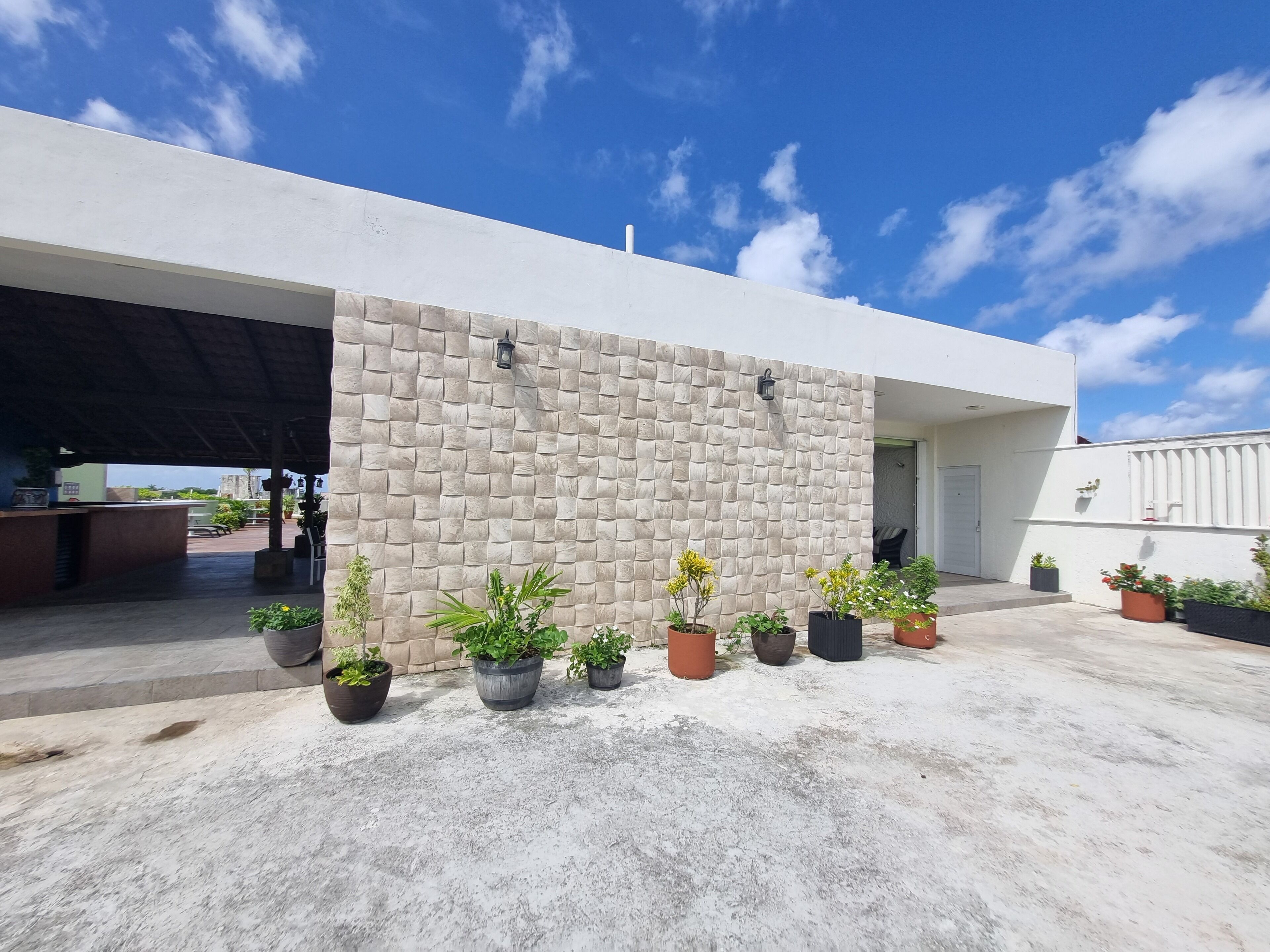 A modern building with a textured wall and potted plants in front.