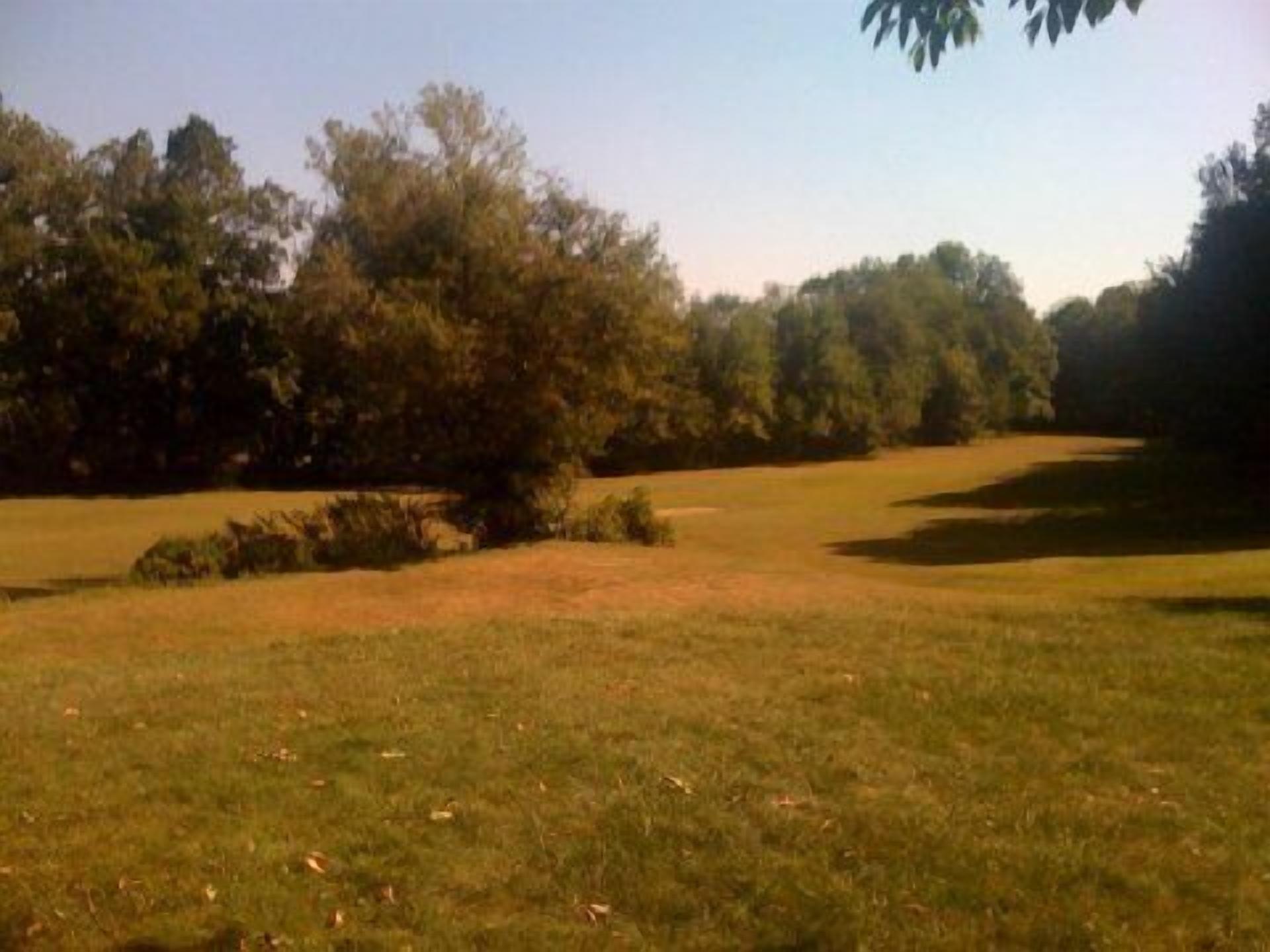 A grassy field with trees in the background.