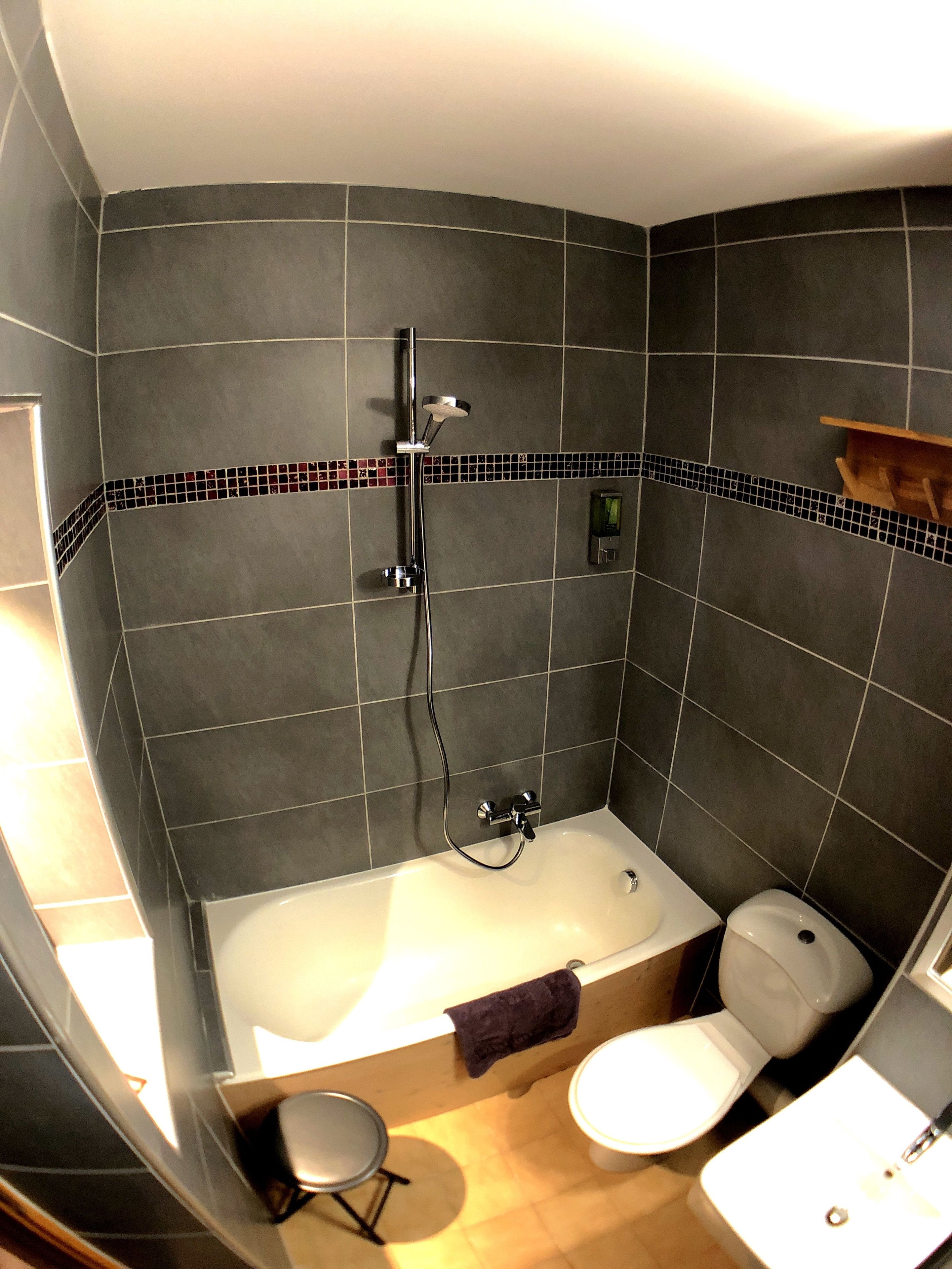Un baño con bañera, inodoro y ducha.