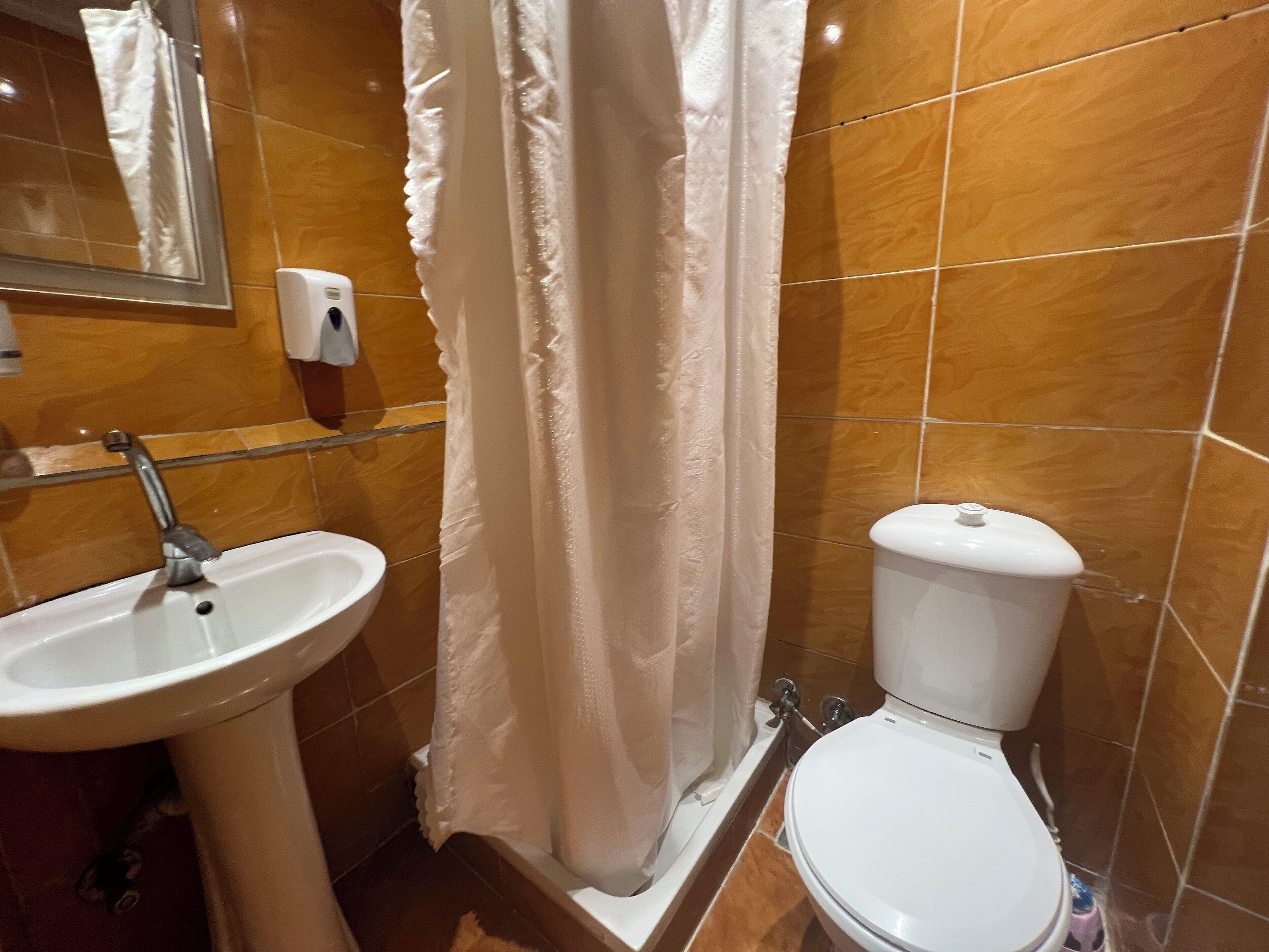 Une salle de bain avec un lavabo, des toilettes et un rideau de douche.