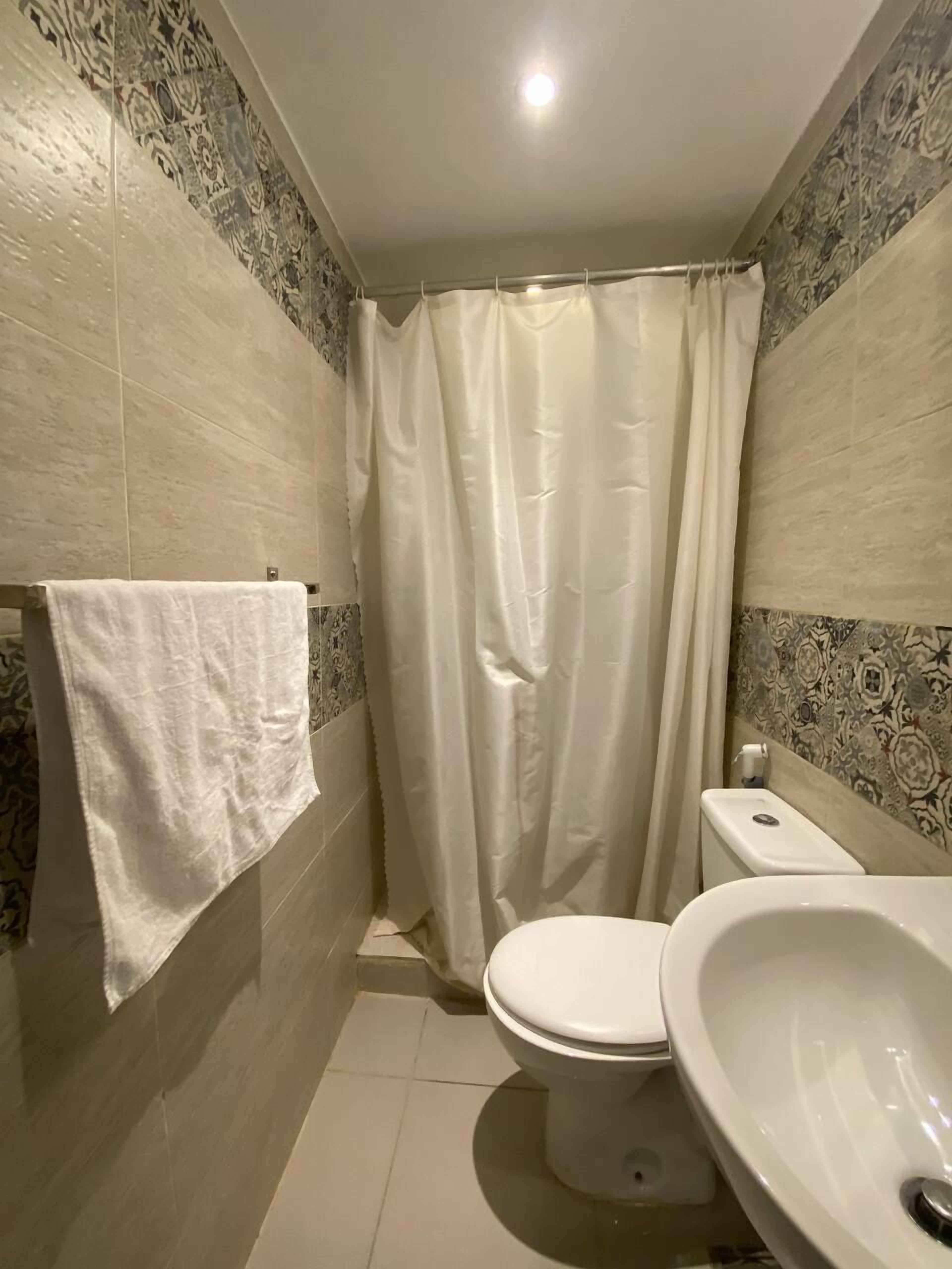 Un bany amb vàter, un lavabo i un tendal de dutxa.