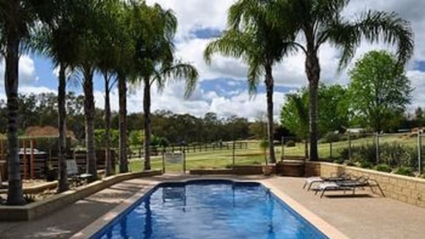 A swimming pool with palm trees and a grassy area in the background. - Tokemata Retreat (Cobram East)