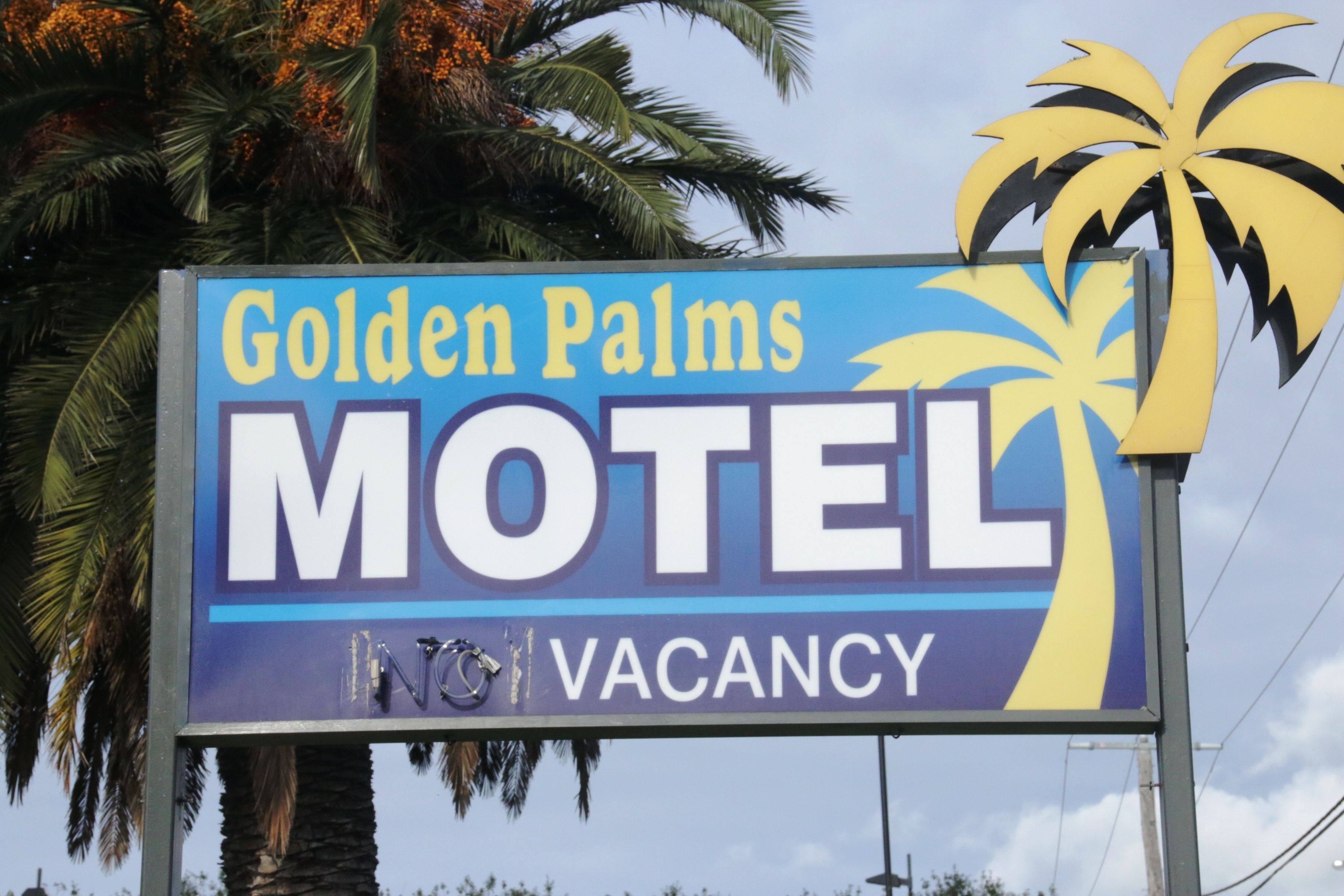 Segnaletica di motel con la scritta "Golden Palms Motel" e un'immagine di una palma.