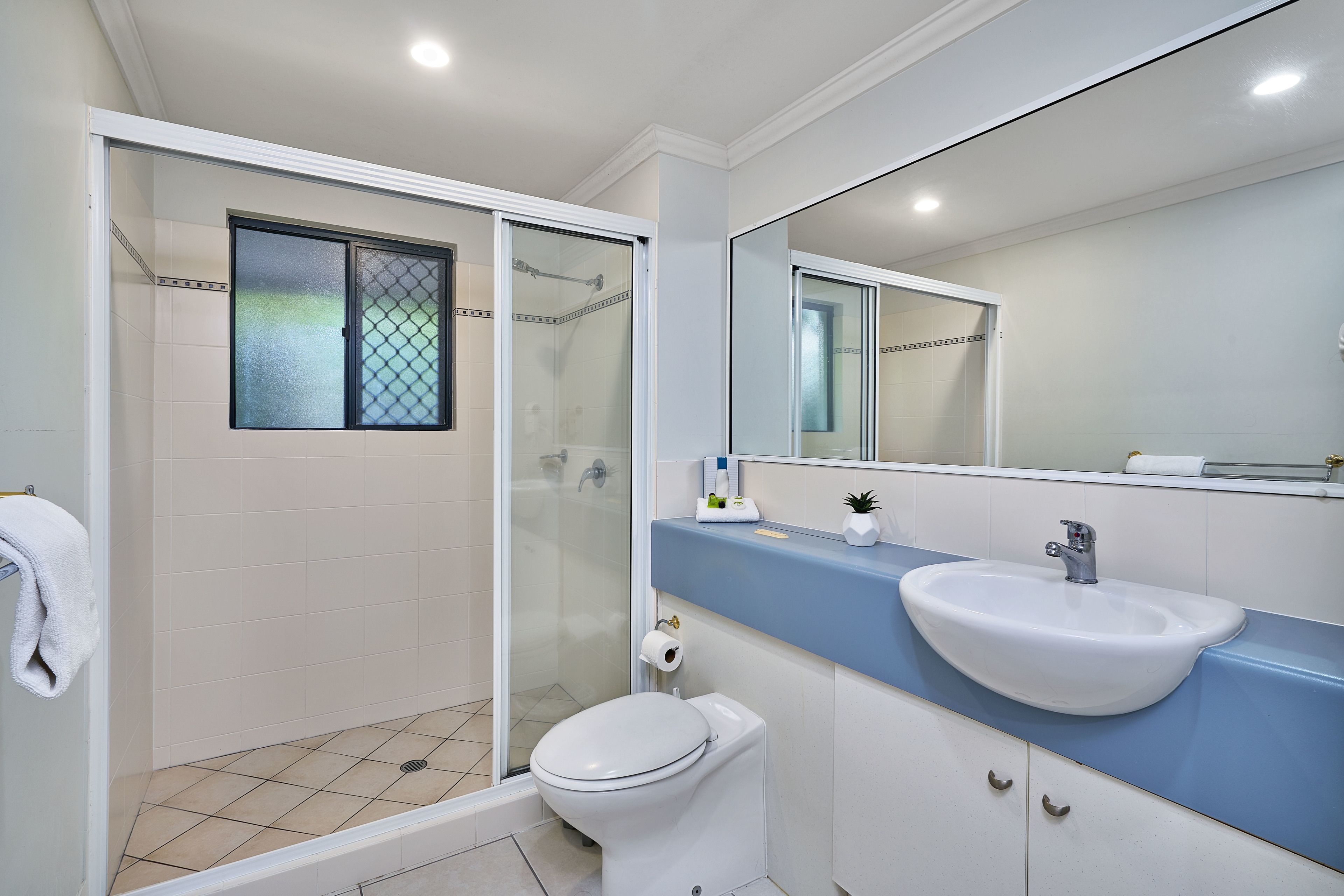 A bathroom with a glass-enclosed shower, a white toilet, and a sink with a blue countertop.