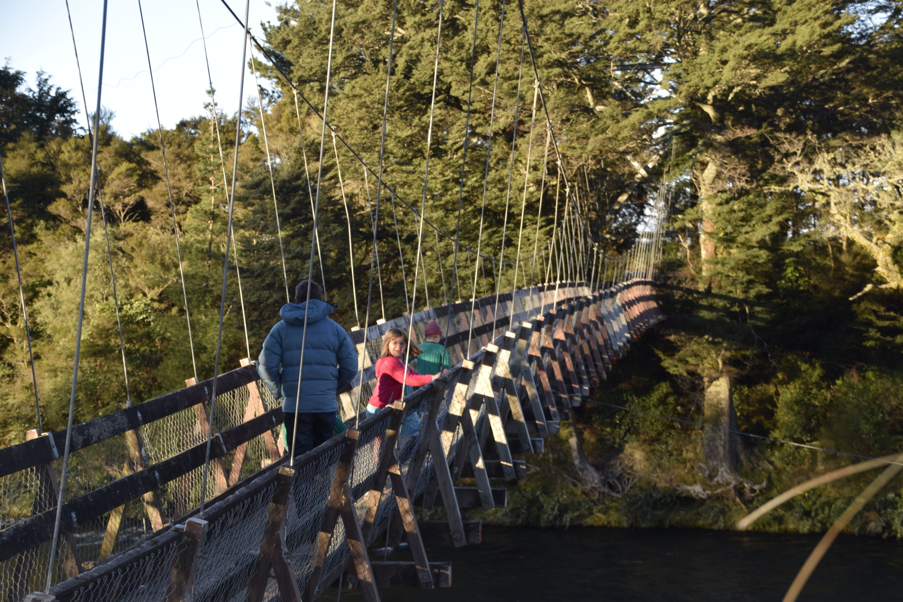 A suspension bridge with wooden planks and metal cables, surrounded by dense forest.