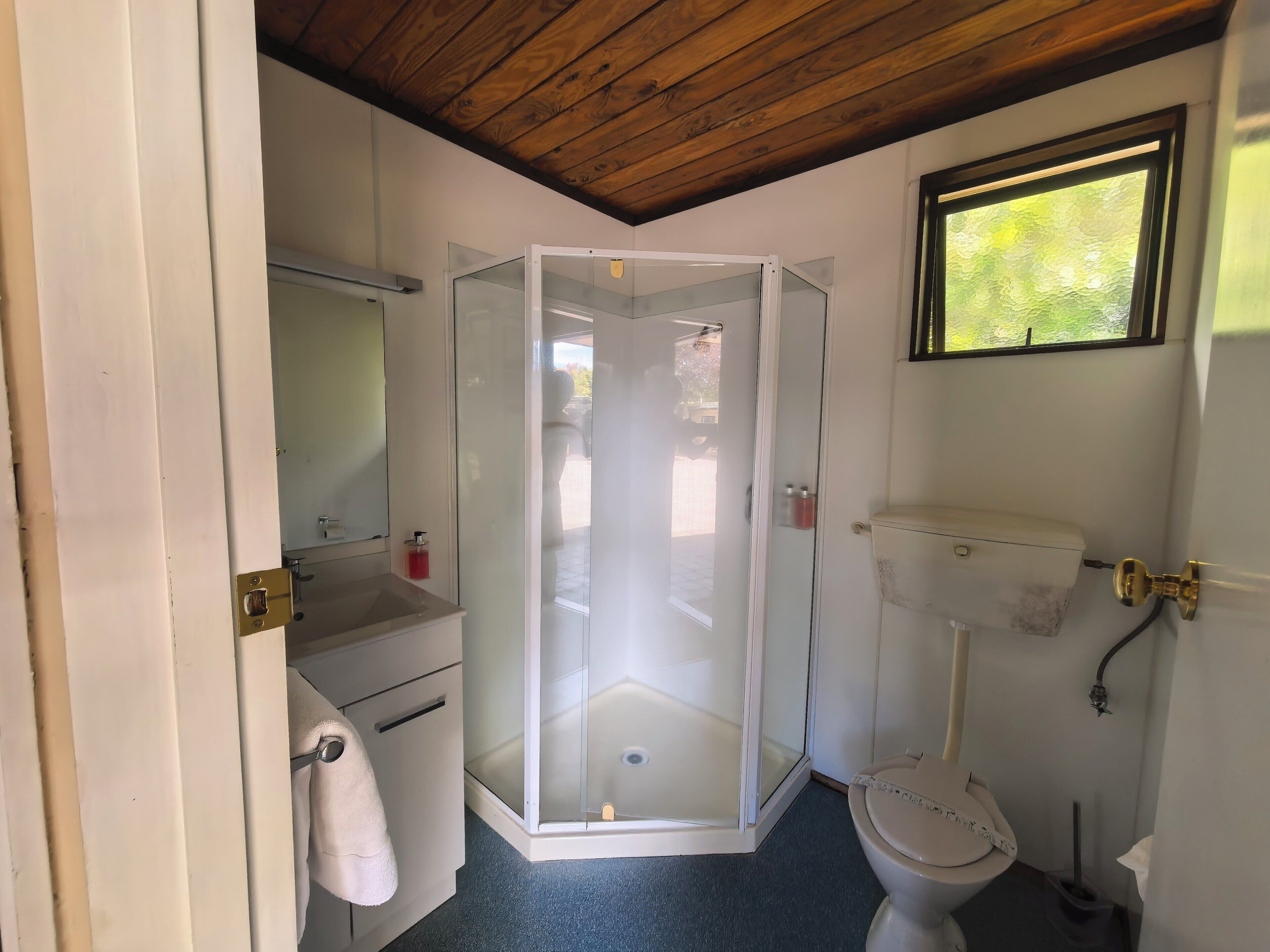 A bathroom with a glass-enclosed shower, a toilet, and a sink with a mirror.